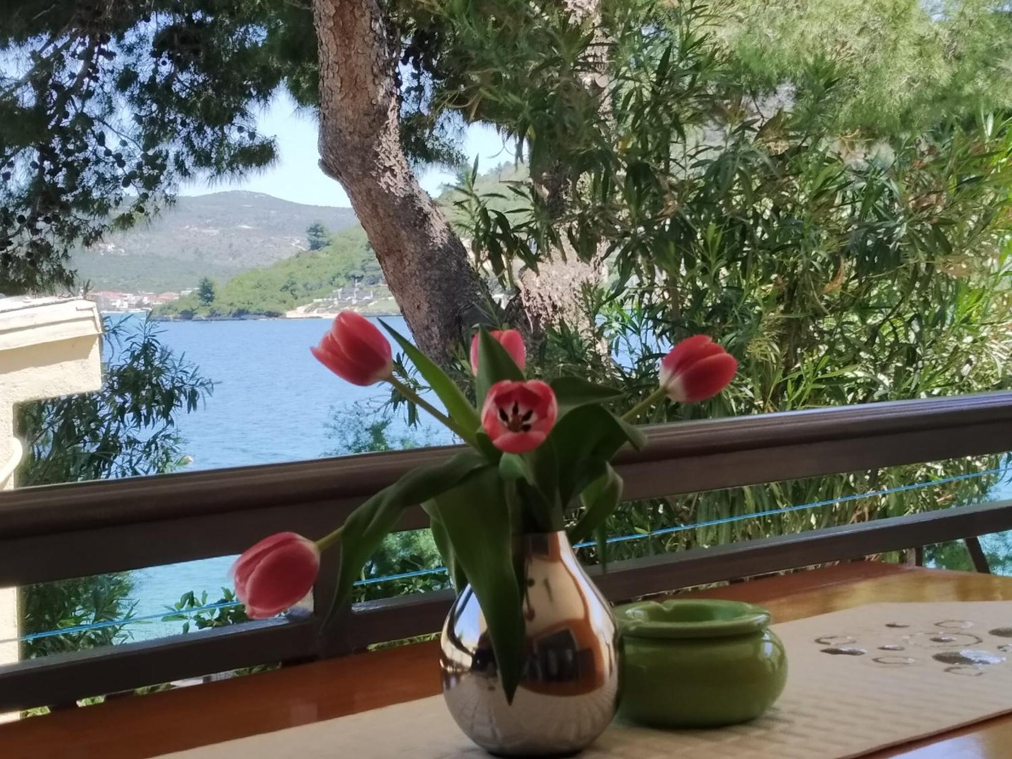Holiday Home Milenka Рогозница Экстерьер фото
